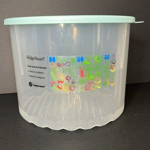 Tupperware Fridgesmart Large Vented Veggie Crisper Container Aqua Mint Seal